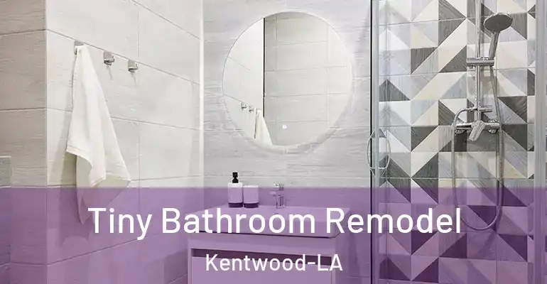 inner Bathroom imggen Tiny Bathroom Remodel Kentwood-LA