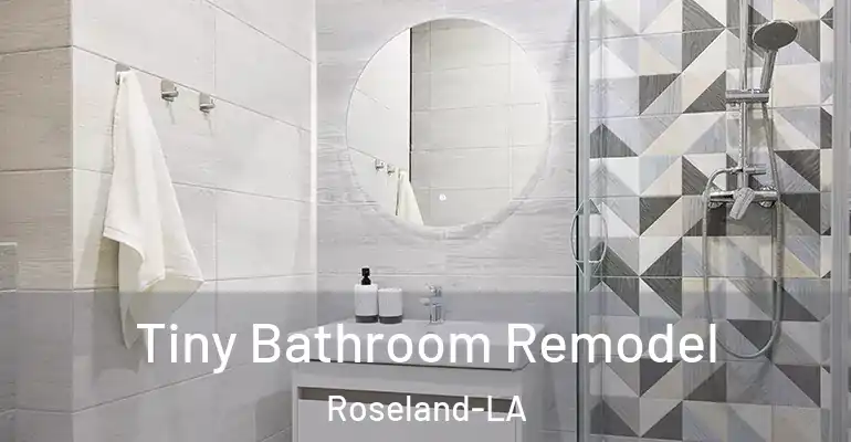 inner Bathroom imggen Tiny Bathroom Remodel Roseland-LA