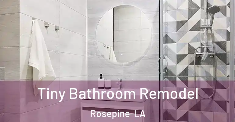 inner Bathroom imggen Tiny Bathroom Remodel Rosepine-LA