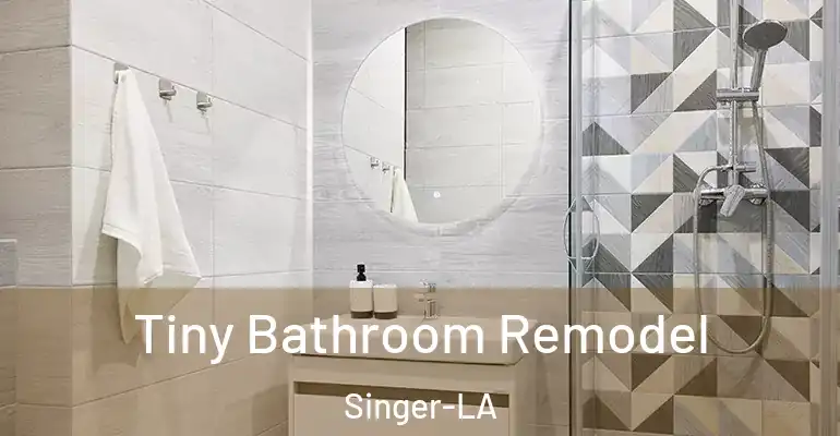 inner Bathroom imggen Tiny Bathroom Remodel Singer-LA