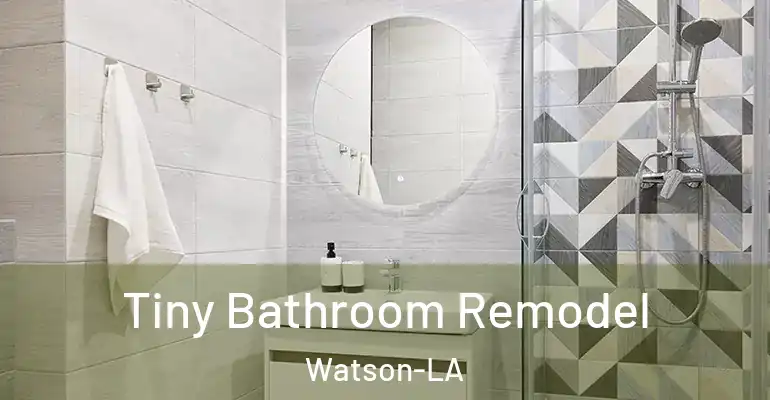 inner Bathroom imggen Tiny Bathroom Remodel Watson-LA