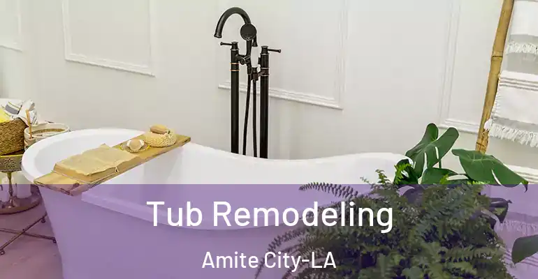 inner Bathroom imggen Tub Remodeling Amite City-LA