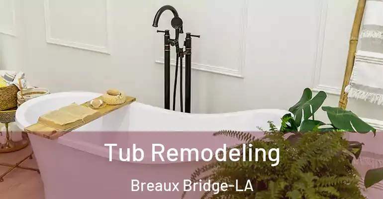 inner Bathroom imggen Tub Remodeling Breaux Bridge-LA