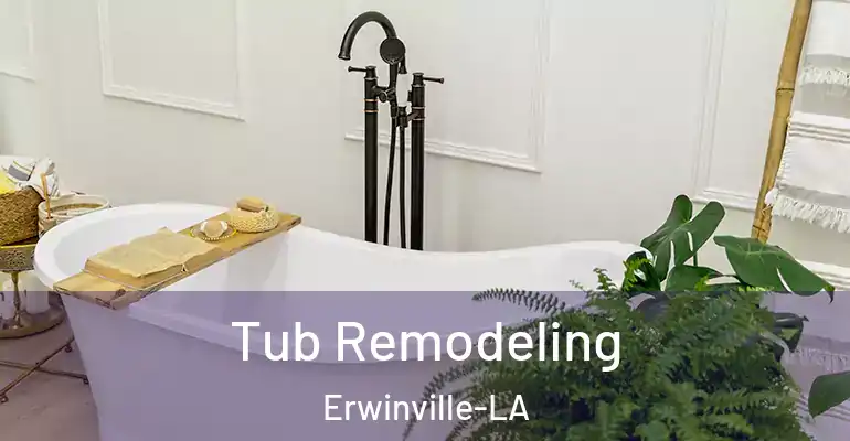 inner Bathroom imggen Tub Remodeling Erwinville-LA