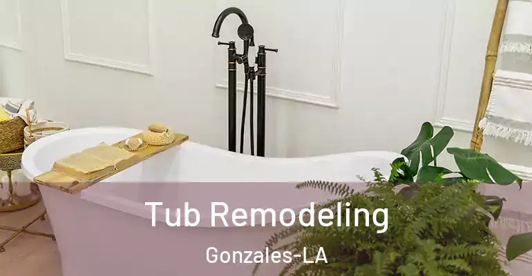 inner Bathroom imggen Tub Remodeling Gonzales-LA