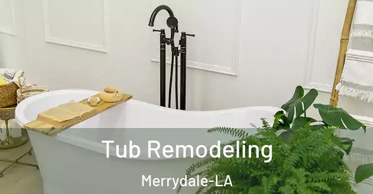 inner Bathroom imggen Tub Remodeling Merrydale-LA