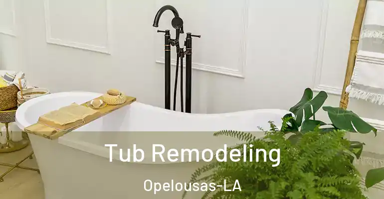 inner Bathroom imggen Tub Remodeling Opelousas-LA