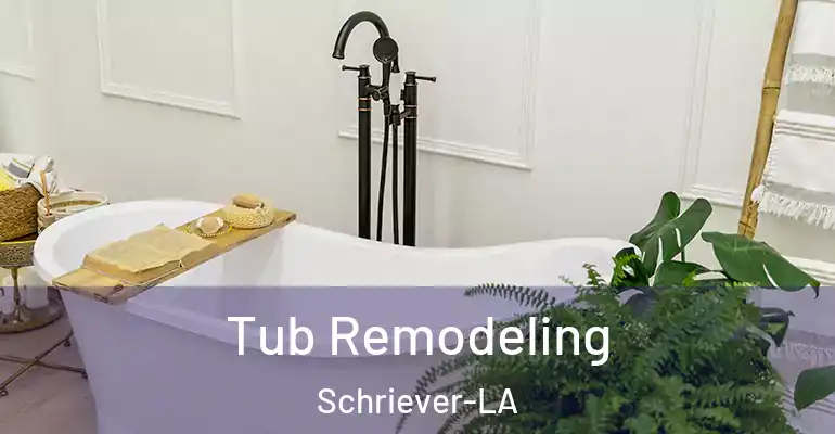 inner Bathroom imggen Tub Remodeling Schriever-LA