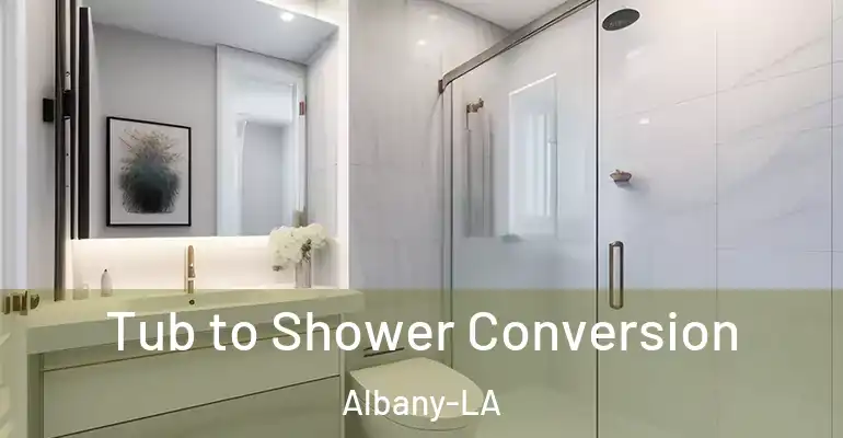 inner Bathroom imggen Tub to Shower Conversion Albany-LA