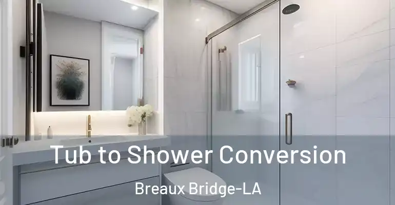 inner Bathroom imggen Tub to Shower Conversion Breaux Bridge-LA