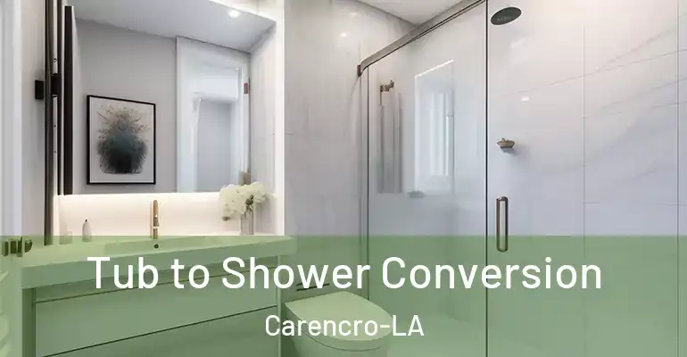 inner Bathroom imggen Tub to Shower Conversion Carencro-LA