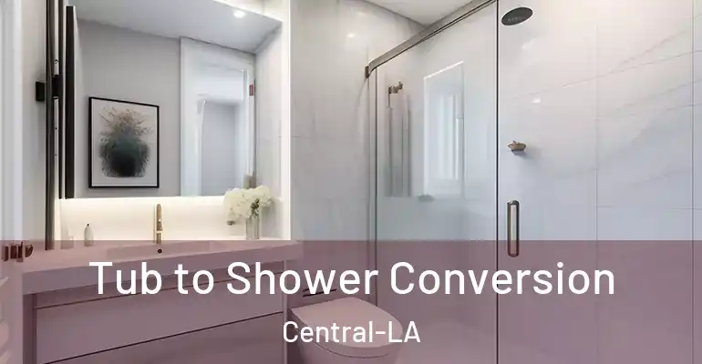 inner Bathroom imggen Tub to Shower Conversion Central-LA