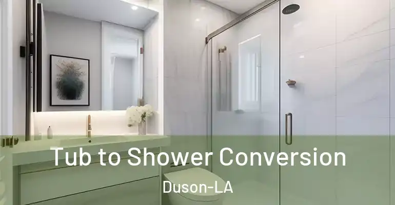 inner Bathroom imggen Tub to Shower Conversion Duson-LA