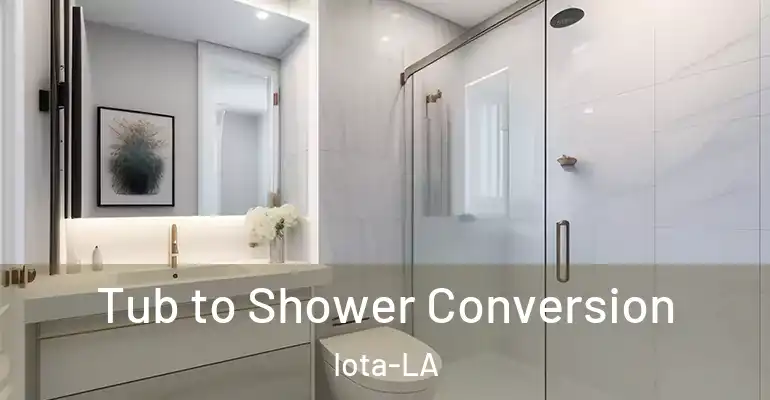 inner Bathroom imggen Tub to Shower Conversion Iota-LA