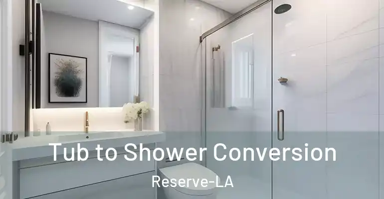 inner Bathroom imggen Tub to Shower Conversion Reserve-LA
