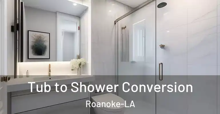 inner Bathroom imggen Tub to Shower Conversion Roanoke-LA