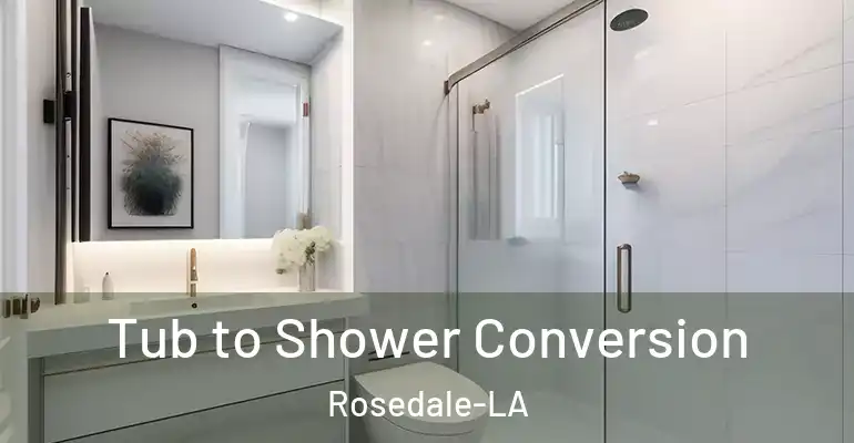 inner Bathroom imggen Tub to Shower Conversion Rosedale-LA