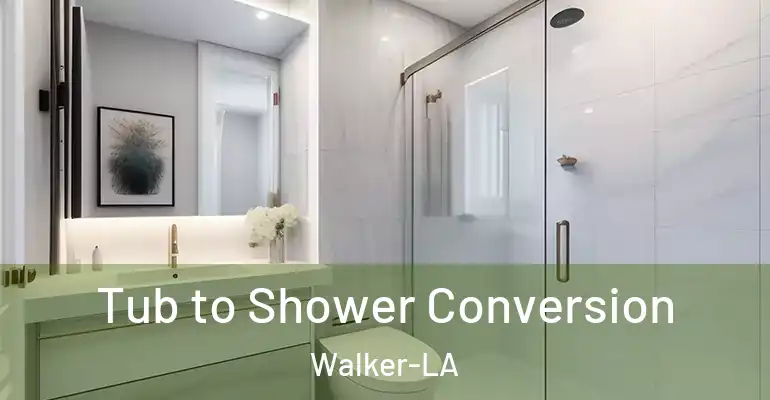 inner Bathroom imggen Tub to Shower Conversion Walker-LA