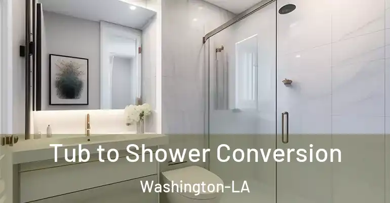 inner Bathroom imggen Tub to Shower Conversion Washington-LA