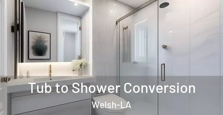 inner Bathroom imggen Tub to Shower Conversion Welsh-LA