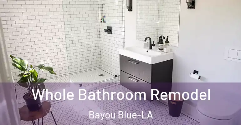 inner Bathroom imggen Whole Bathroom Remodel Bayou Blue-LA