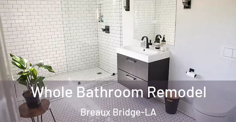 inner Bathroom imggen Whole Bathroom Remodel Breaux Bridge-LA