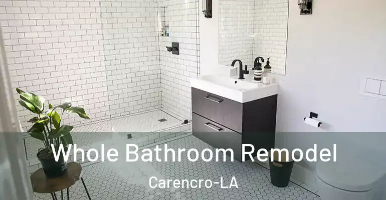 inner Bathroom imggen Whole Bathroom Remodel Carencro-LA