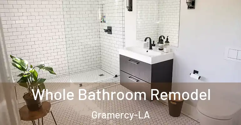 inner Bathroom imggen Whole Bathroom Remodel Gramercy-LA