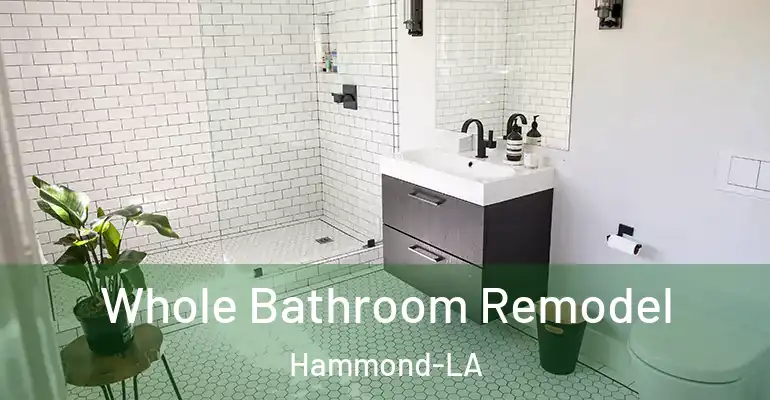 inner Bathroom imggen Whole Bathroom Remodel Hammond-LA