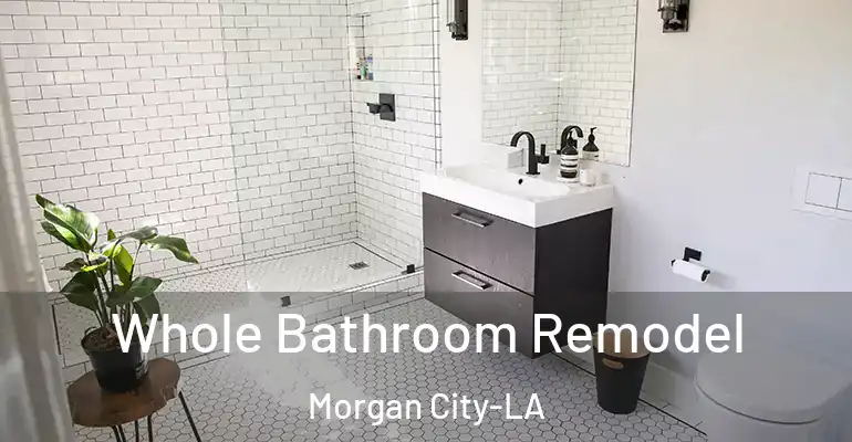 inner Bathroom imggen Whole Bathroom Remodel Morgan City-LA