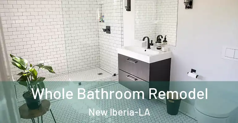 inner Bathroom imggen Whole Bathroom Remodel New Iberia-LA
