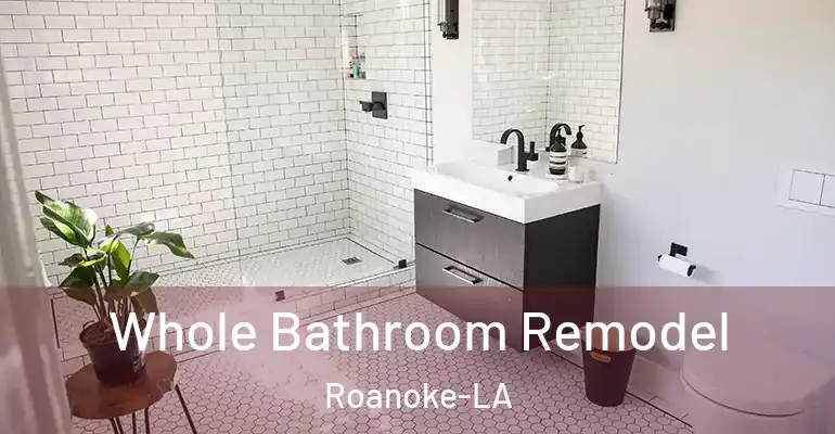 inner Bathroom imggen Whole Bathroom Remodel Roanoke-LA